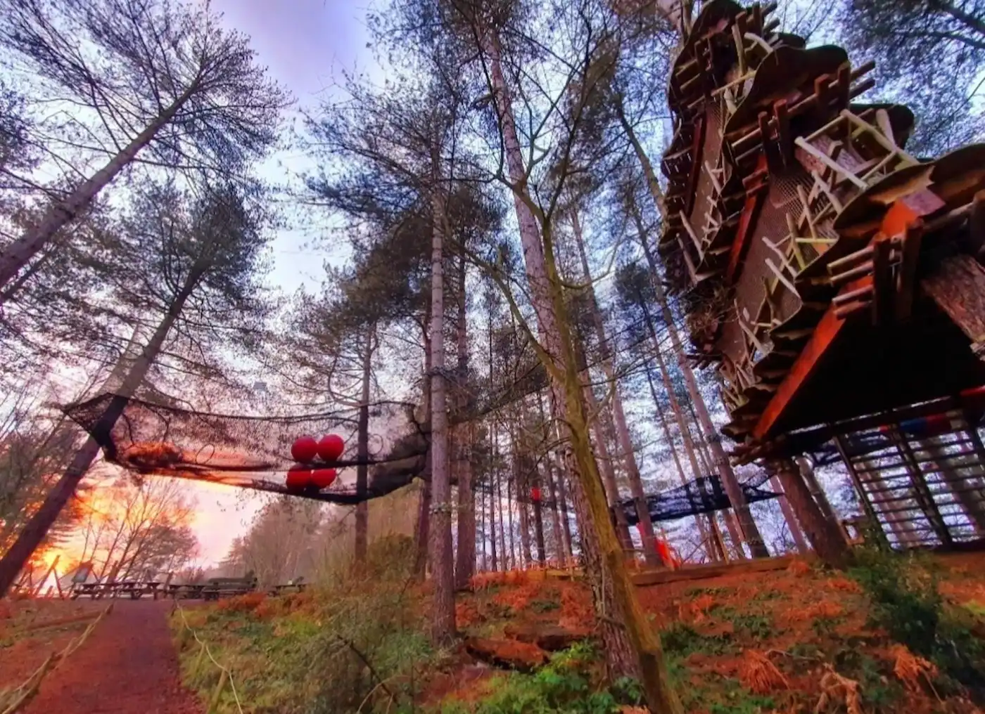 Moors Valley Go Ape Nets Adventure